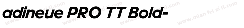 adineue PRO TT Bold字体转换